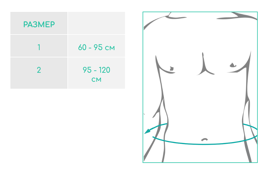 Пояс Стандарт бейсик - Image 2